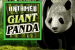 Демо автомат Untamed Giant Panda